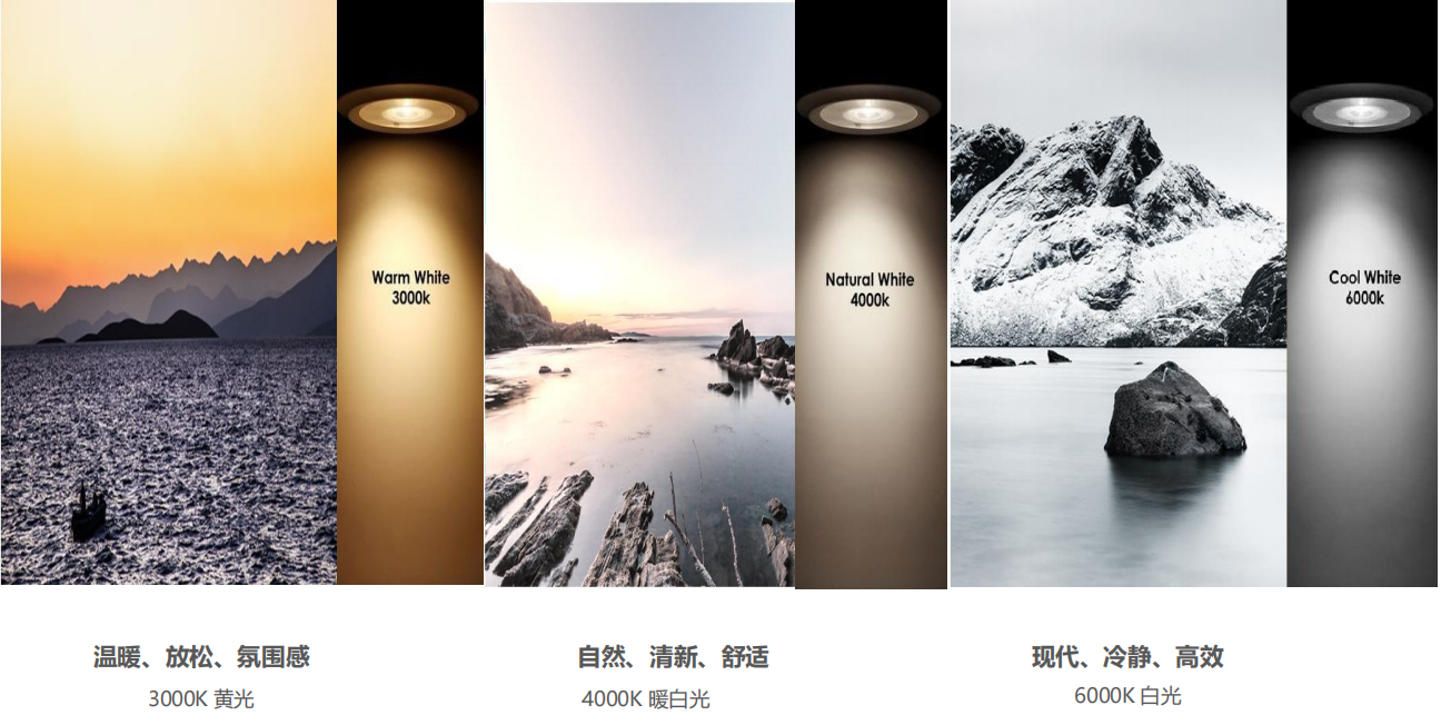 【設(shè)計案例】普照國康醫(yī)藥辦公室項目概念設(shè)計——以空間敘事,筑品牌基因(圖26) 【設(shè)計案例】普照國康醫(yī)藥辦公室項目概念設(shè)計——以空間敘事,筑品牌基因(圖26)